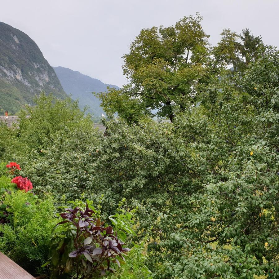 Apartmaji Pri Medvedu Studio Rudnica Bohinj Exterior foto
